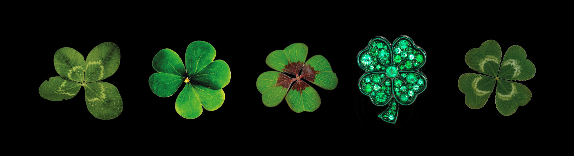 Lucky 4 leaf clover ring in emeralds and blackened 18 karat white gold by Solange Azagury-Partridge
