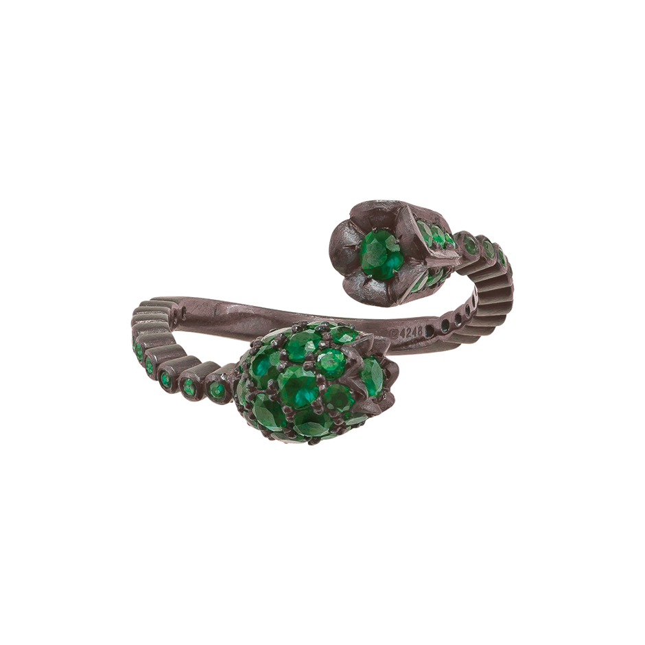 Chlorophyll Ring