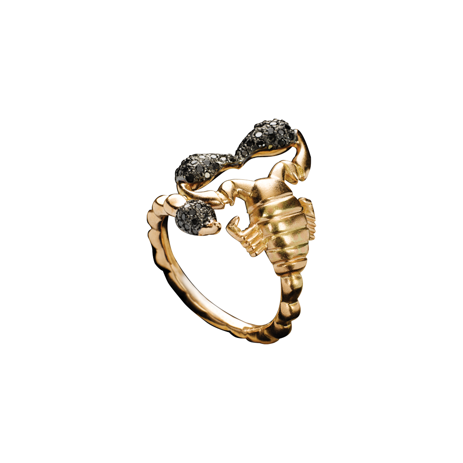 Ring scorpio hotsell