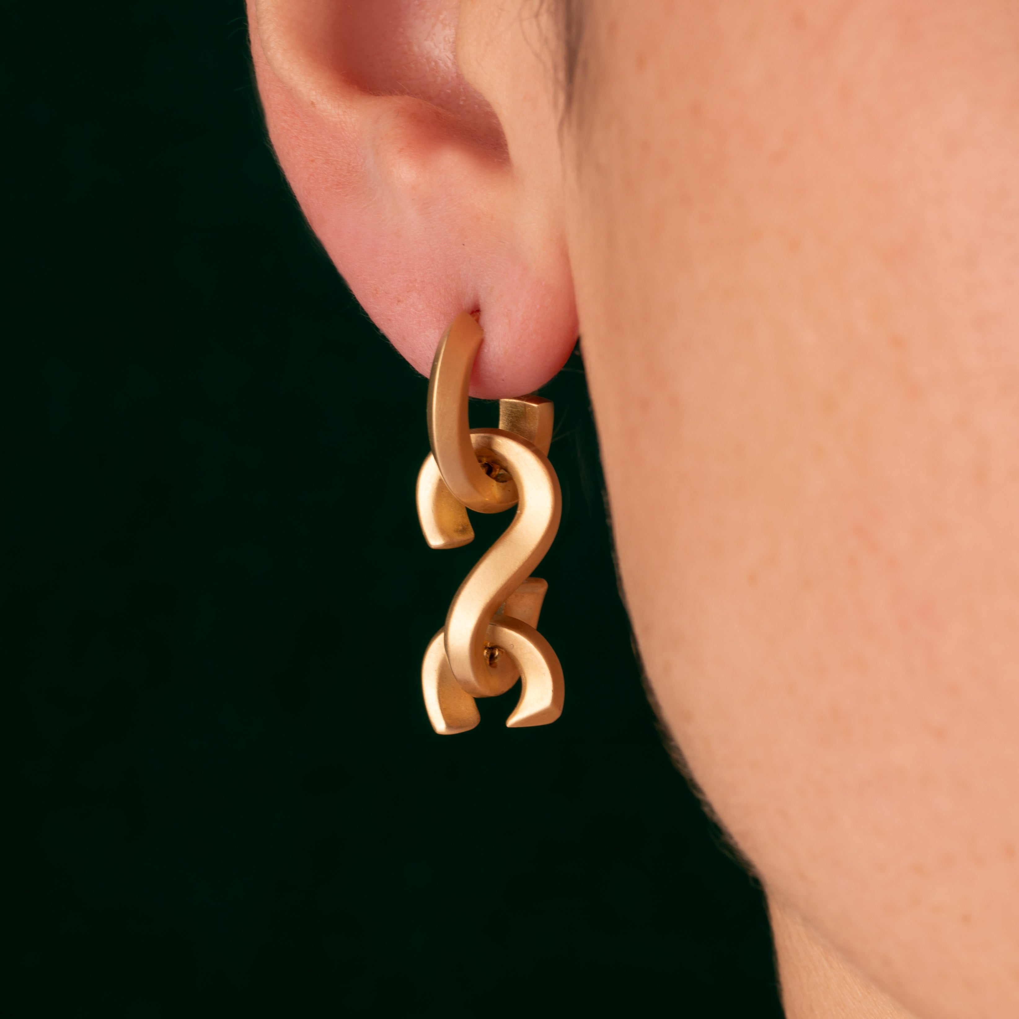 S.link Earrings