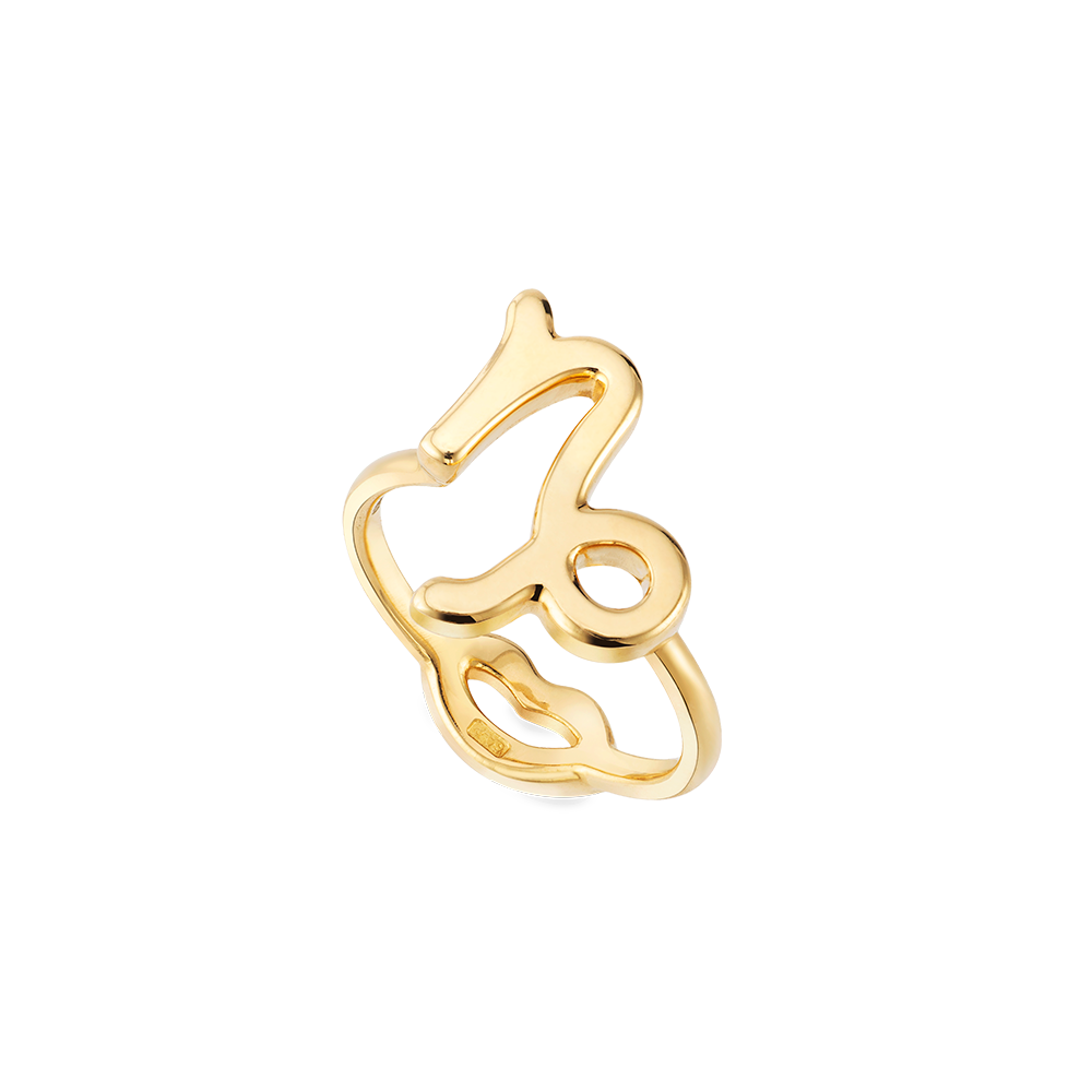 18k Gold Capricorn Zodiac Ring by Solange Azagury-Partridge Angled View