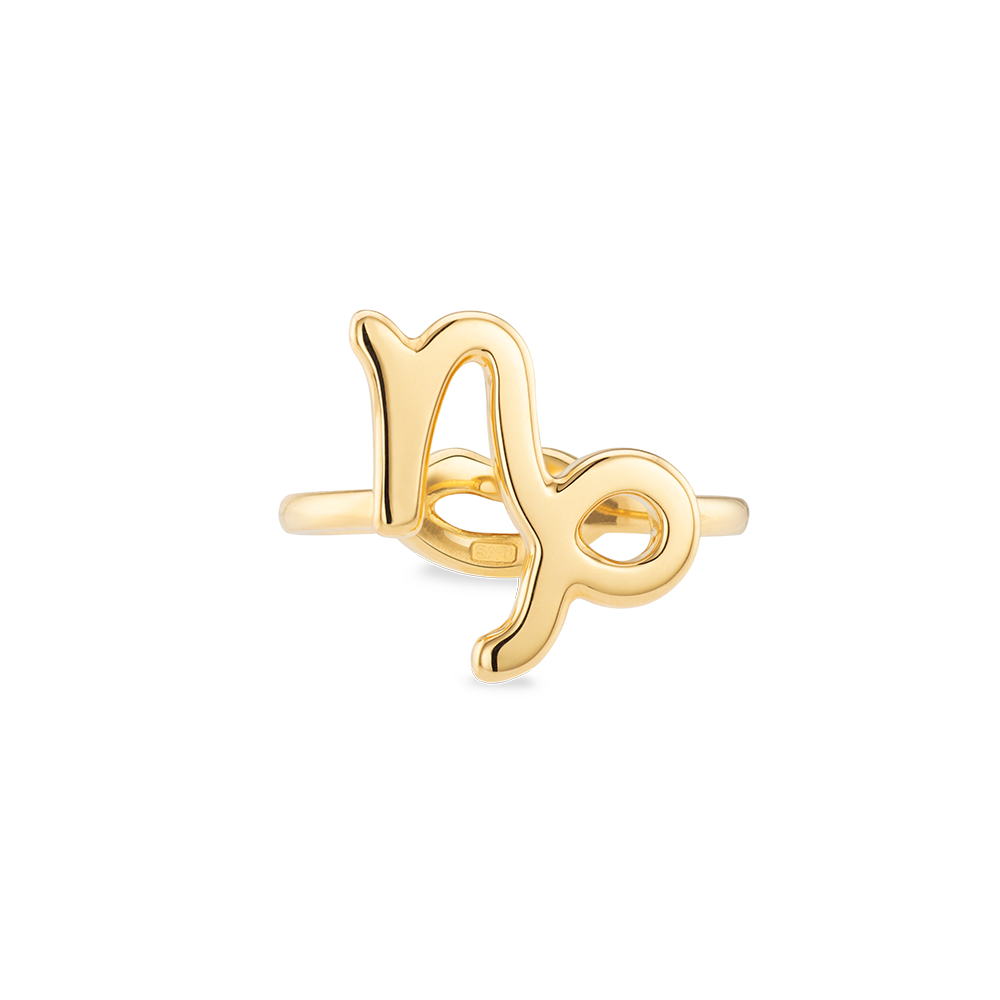 18k Gold Capricorn Zodiac Ring by Solange Azagury-Partridge Front View