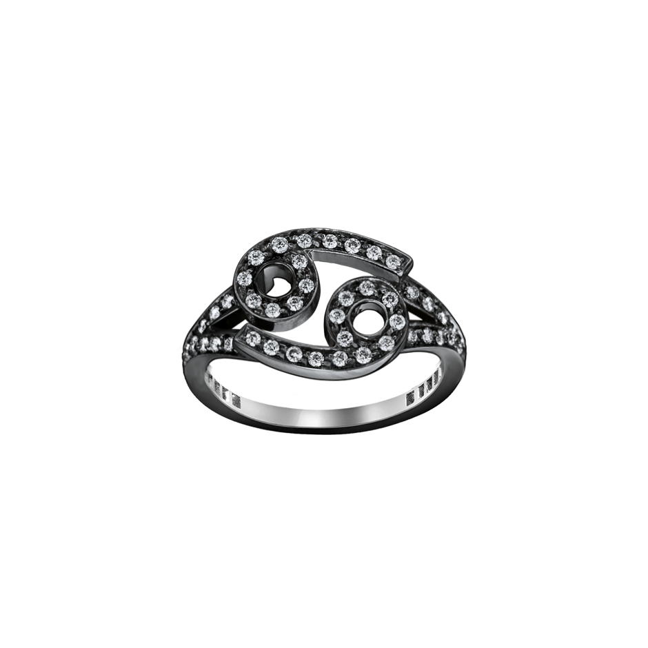 Delicate Diamond Zodiac Ring
